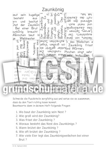 Zaunkönig.pdf